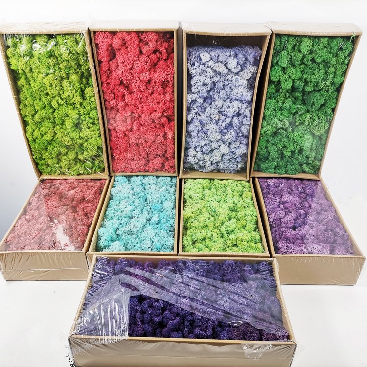 SumFlora A-mazon HOT Sell Moss wall panel DIY flower Paper Flower Box preserved flowers moss