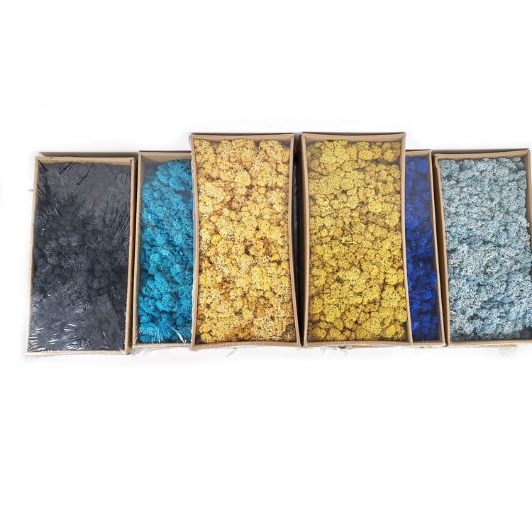 SumFlora A-mazon HOT Sell Moss wall panel DIY flower Paper Flower Box preserved flowers moss