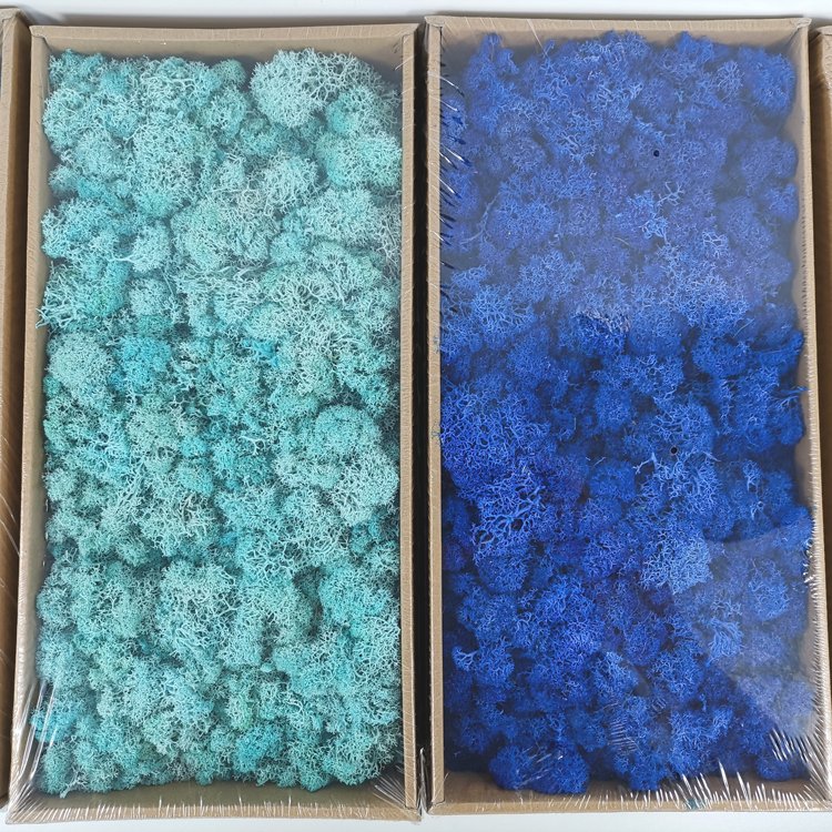 SumFlora A-mazon HOT Sell Moss wall panel DIY flower Paper Flower Box preserved flowers moss
