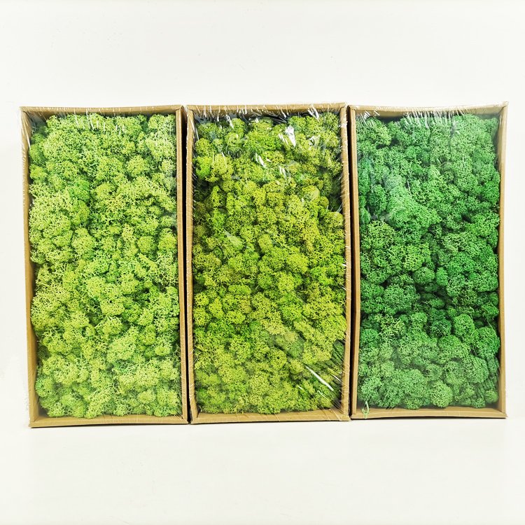 SumFlora A-mazon HOT Sell Moss wall panel DIY flower Paper Flower Box preserved flowers moss