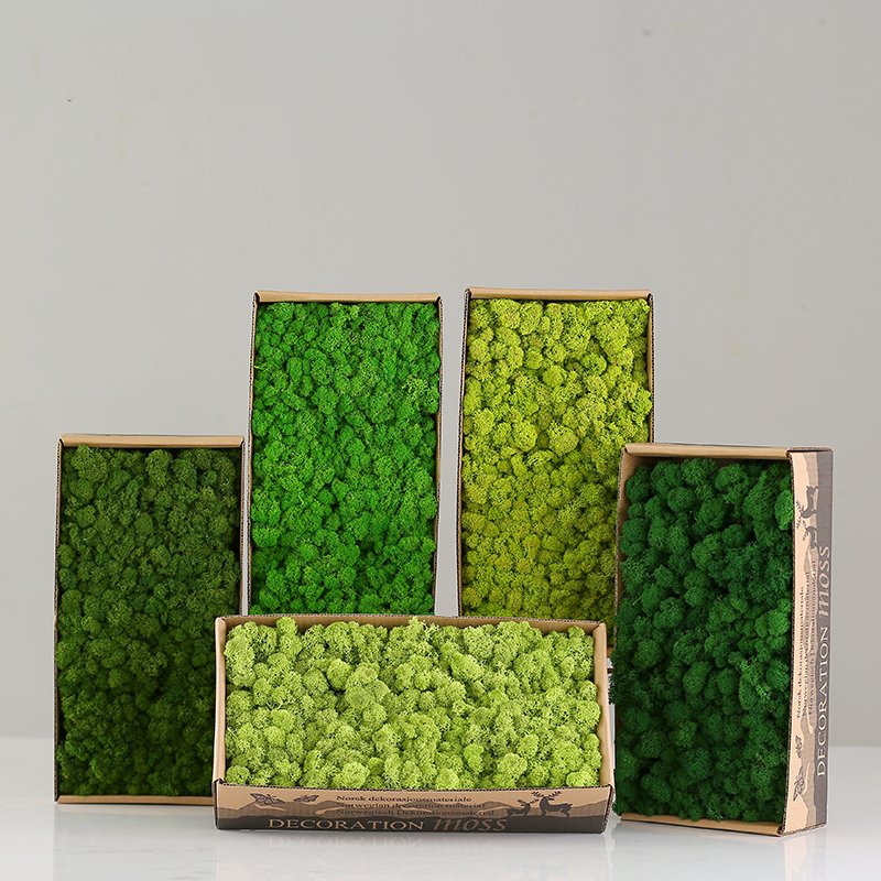 SumFlora A-mazon HOT Sell Moss wall panel DIY flower Paper Flower Box preserved flowers moss