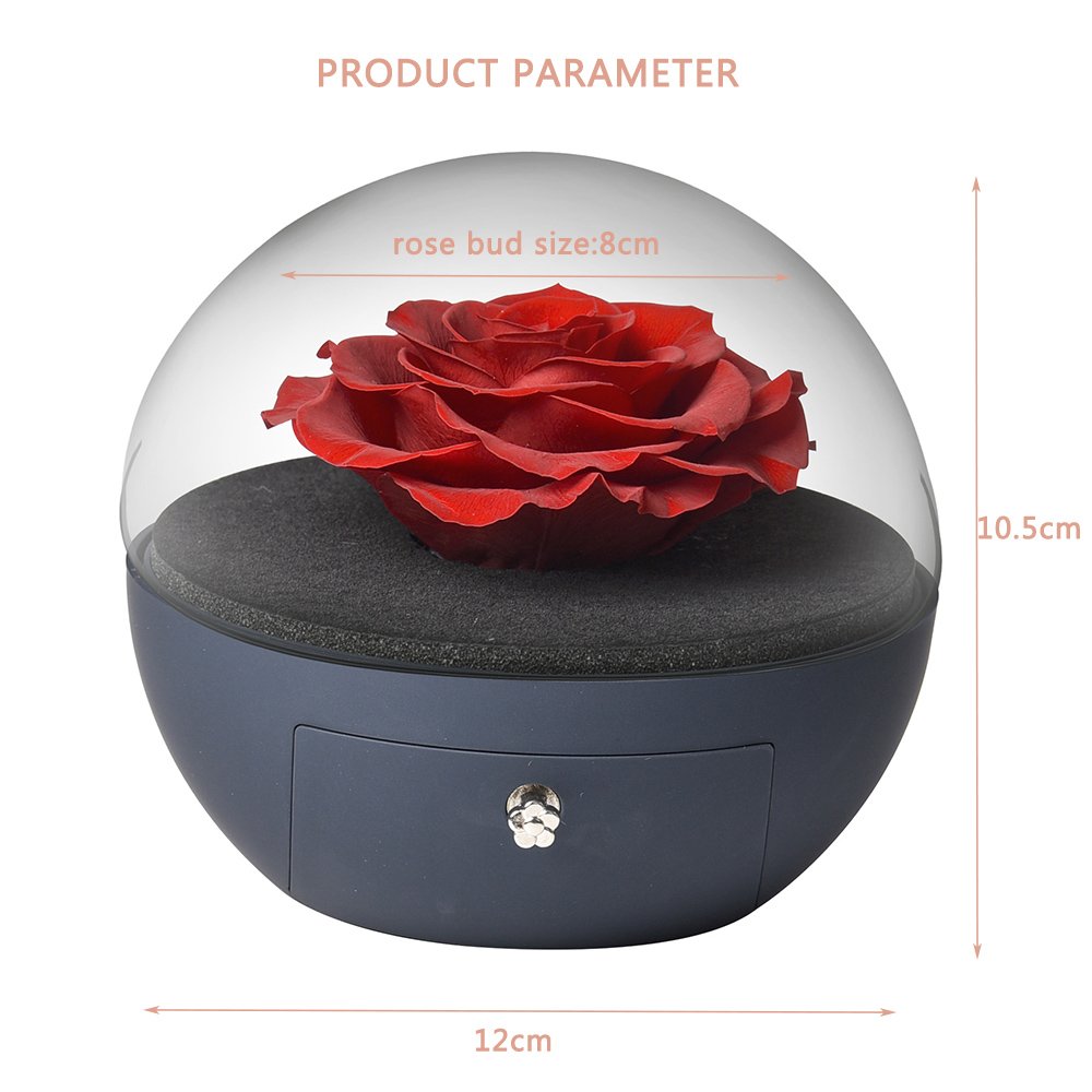 Christmas gift 2022 dreamy flores preservadas natural stabilized preserved rose flower jewelry box eternal roses in acrylic box
