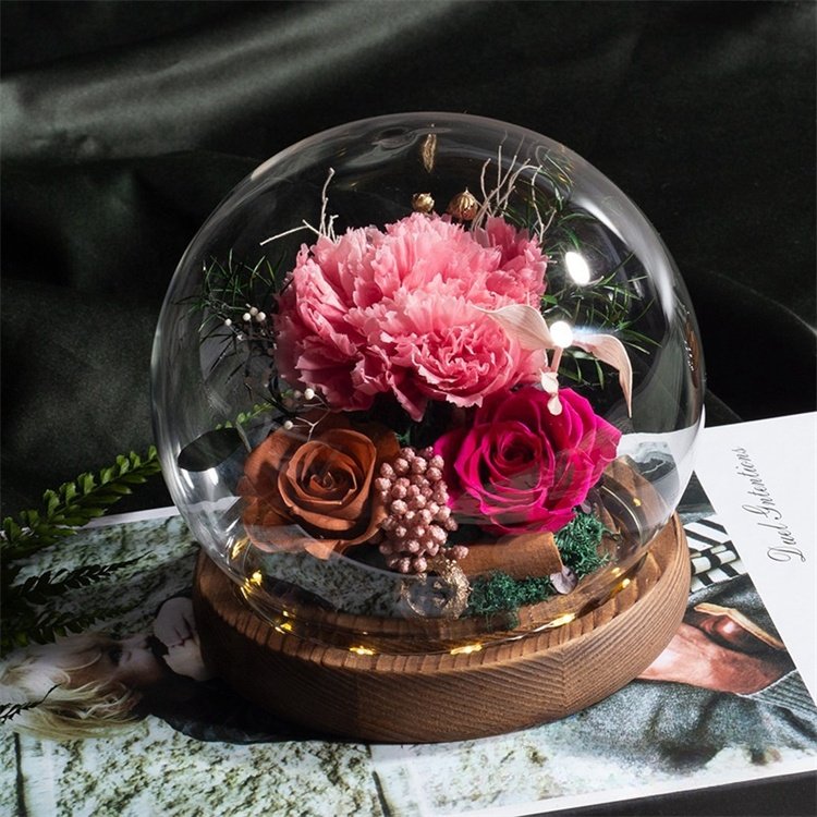 New Arrival Valentine's Day Womens Gift Preserved Forever Roses Carnation Eternal Real Flower With Led Light In Gass Dome