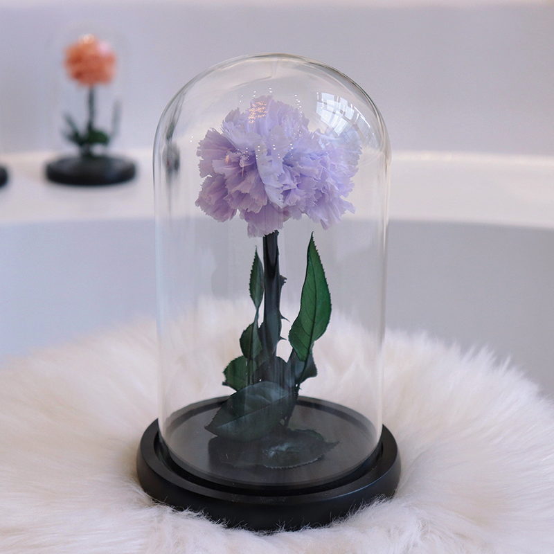 Wholesale Preserved Carnation With Dome Carnation Preserved Flower Customised Preserved Carnation for Teacher's Day Gifts