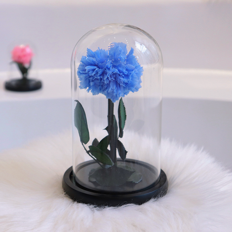 Wholesale Preserved Carnation With Dome Carnation Preserved Flower Customised Preserved Carnation for Teacher's Day Gifts