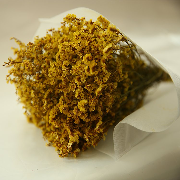 china hot selling dried limoniun preserved flowers long lasting forget-me-not Statice limonium flower