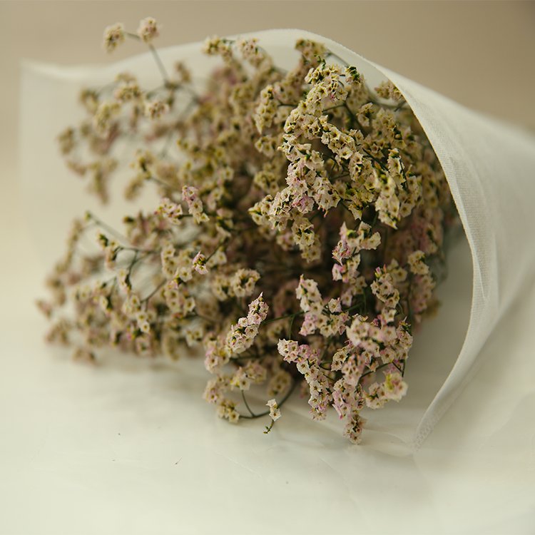 china hot selling dried limoniun preserved flowers long lasting forget-me-not Statice limonium flower
