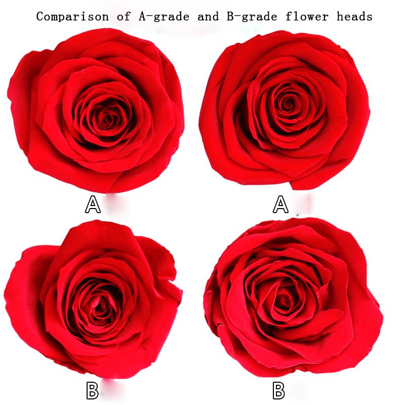 AYOYO OEM Valentine's Day gift set Eternal Flowers Eternal rose flowers wholesale Decorative gforever flower