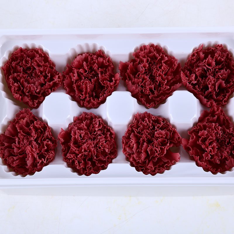 Wholesale high quality preserved carnation eternal forever fresh flowers for holiday gift