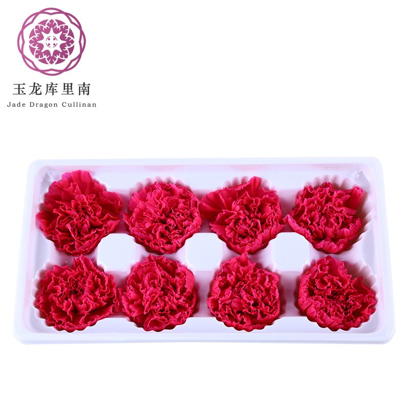 Wholesale high quality preserved carnation eternal forever fresh flowers for holiday gift