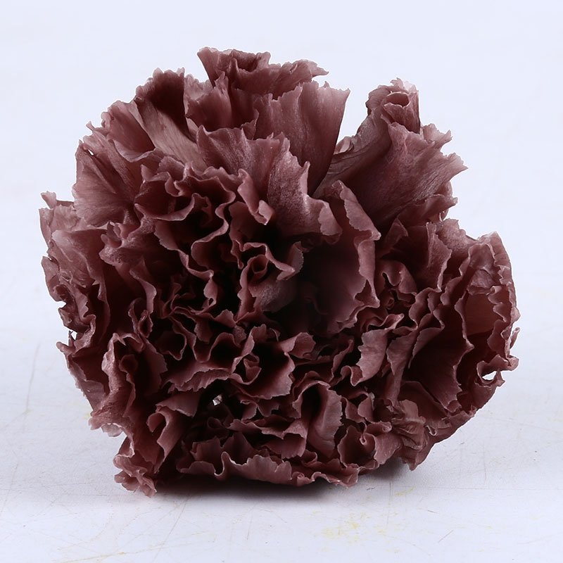 Wholesale high quality preserved carnation eternal forever fresh flowers for holiday gift