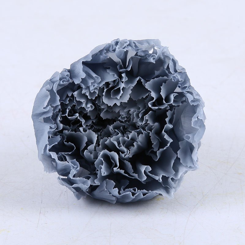 Wholesale high quality preserved carnation eternal forever fresh flowers for holiday gift