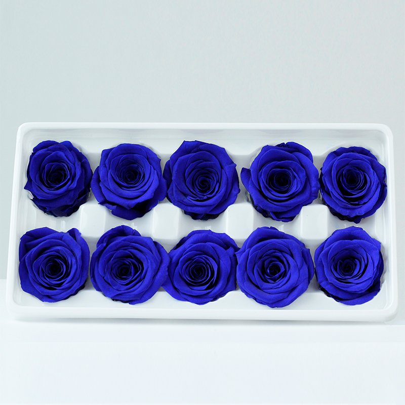 Wholesale Preserved roses 10Heads/Box Rose Flowers Preserved Flowers Rose Head for Wedding decorations and artwork production