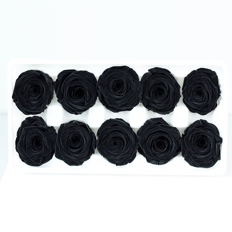 Wholesale Preserved roses 10Heads/Box Rose Flowers Preserved Flowers Rose Head for Wedding decorations and artwork production