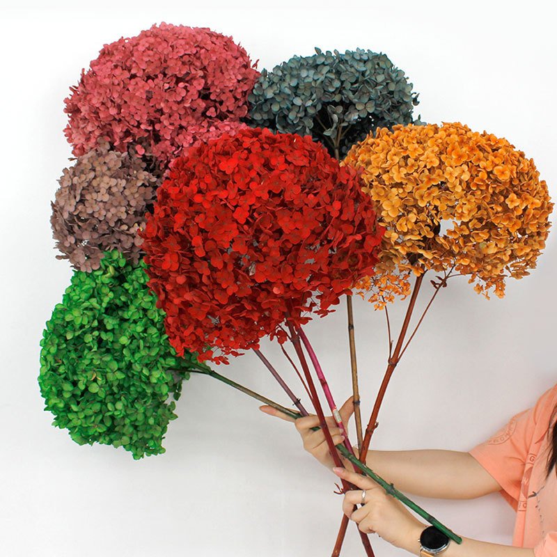 DIY Material Immortal Preserved Fresh Anna hydrangea Flower the Colorful Forever Lasting hydrangea With branches
