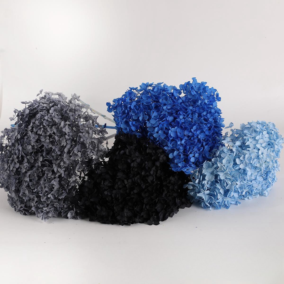 DIY Material Immortal Preserved Fresh Anna hydrangea Flower the Colorful Forever Lasting hydrangea With branches