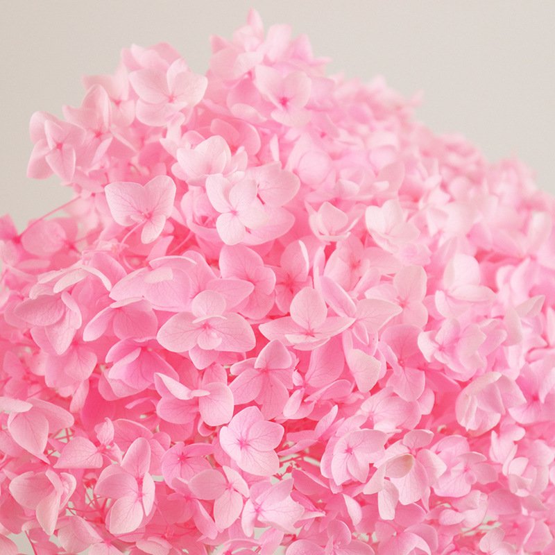 DIY Material Immortal Preserved Fresh Anna hydrangea Flower the Colorful Forever Lasting hydrangea With branches