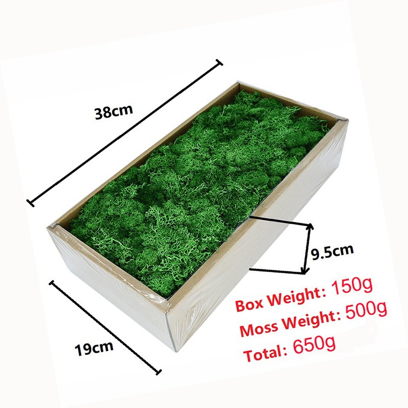 Wholesale Preserved Flower Green Preserved Natural Reindeer Moss Leucobryum Glaucum For Decoration