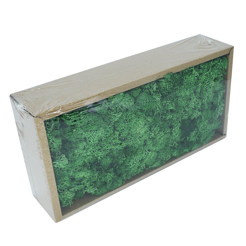 Wholesale Preserved Flower Green Preserved Natural Reindeer Moss Leucobryum Glaucum For Decoration