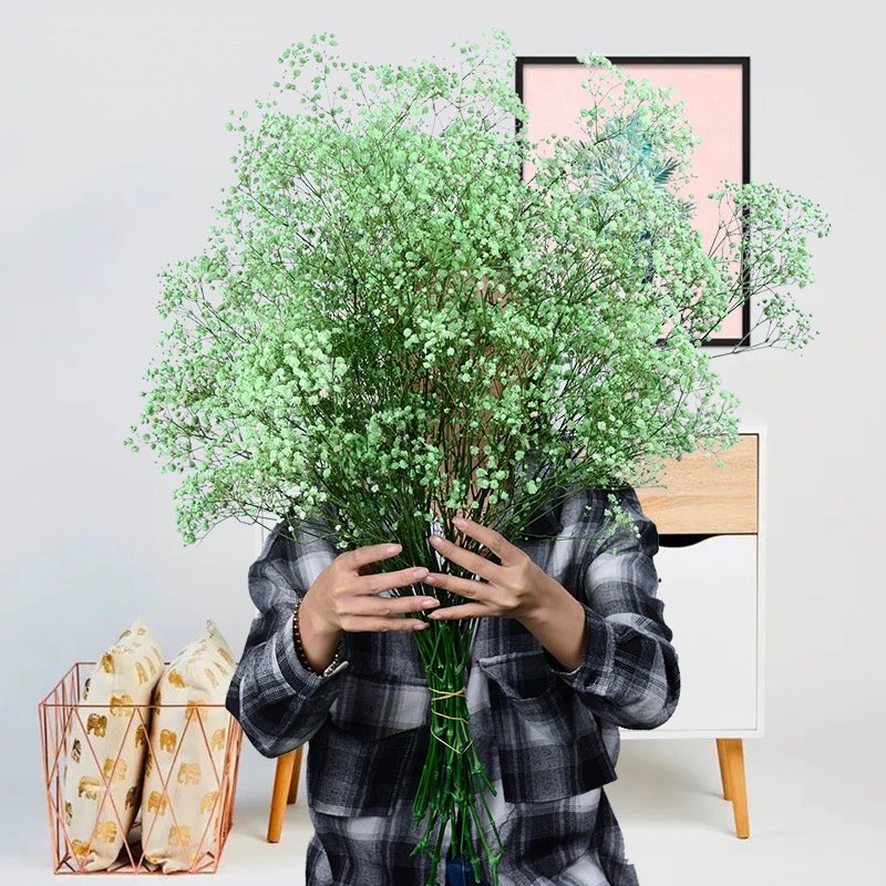 D050815 preserved Gypsophil bouquet flowers bouquet flowers arrangement preserved Baby's Breath flowers for wedding decoration
