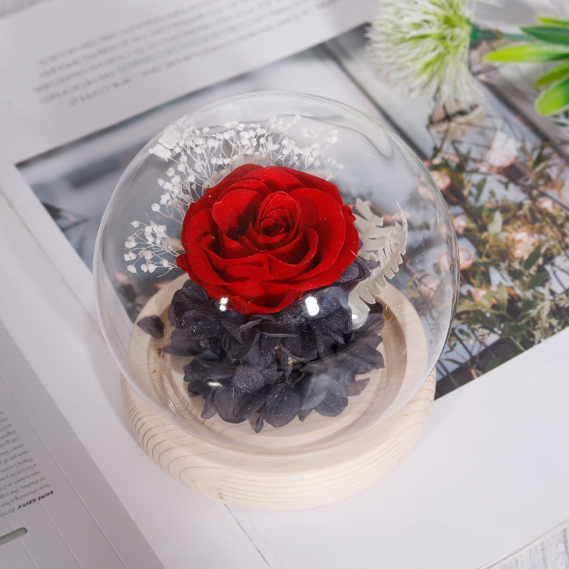 Newly valentines mothers day gifts forever eternal rose preserved flower in glass dome preserved glass flower roses box