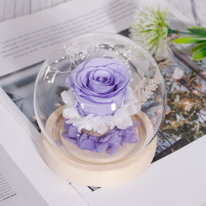 Newly valentines mothers day gifts forever eternal rose preserved flower in glass dome preserved glass flower roses box