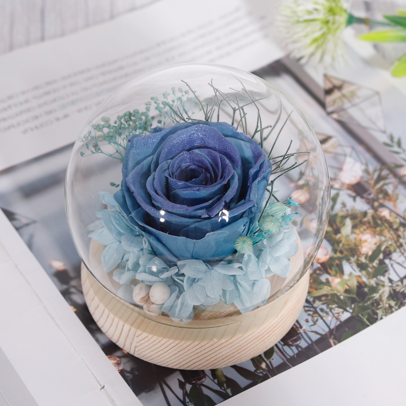 Newly valentines mothers day gifts forever eternal rose preserved flower in glass dome preserved glass flower roses box