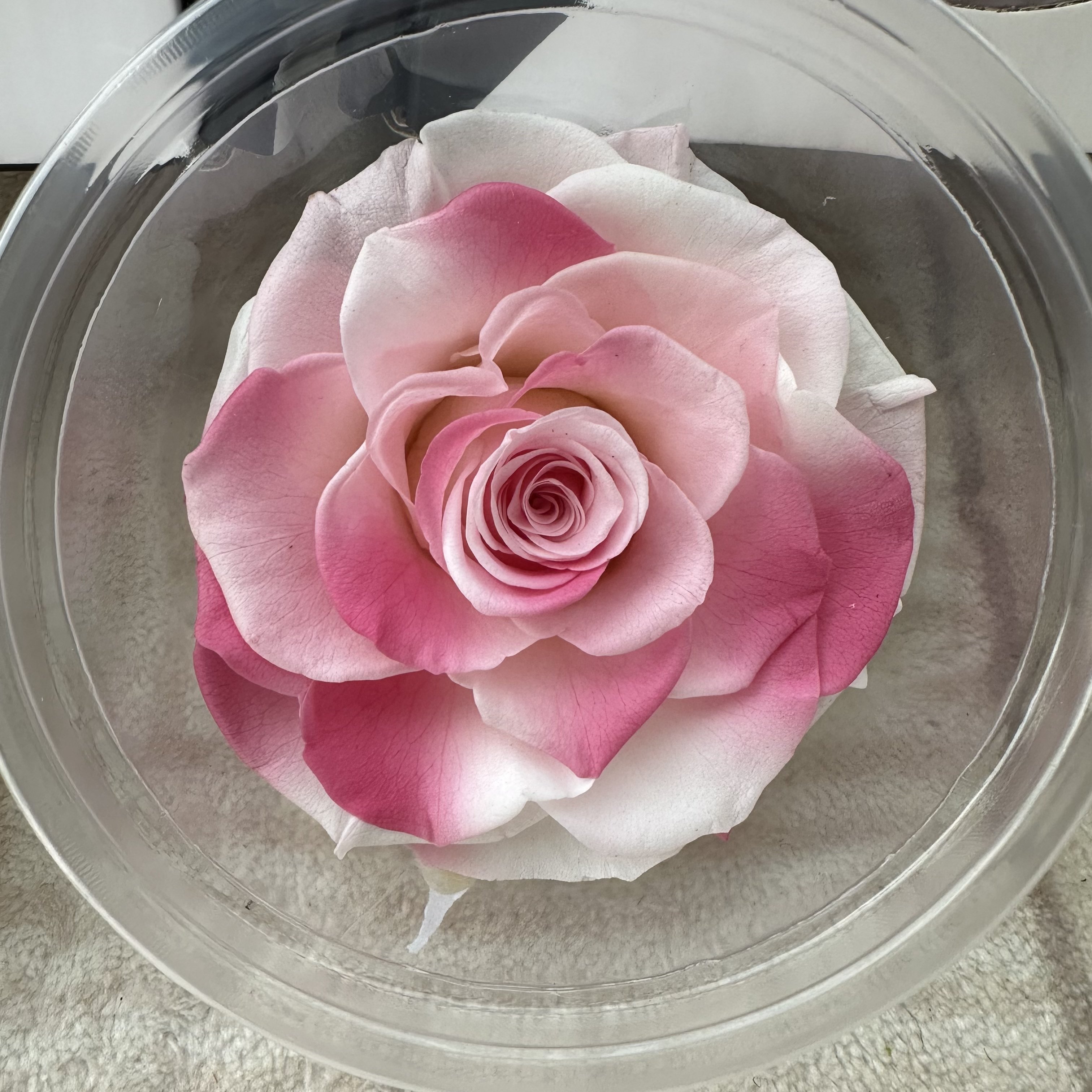 factory supply new 9-10 cm rose head good quality preserved rose head for flower decoration