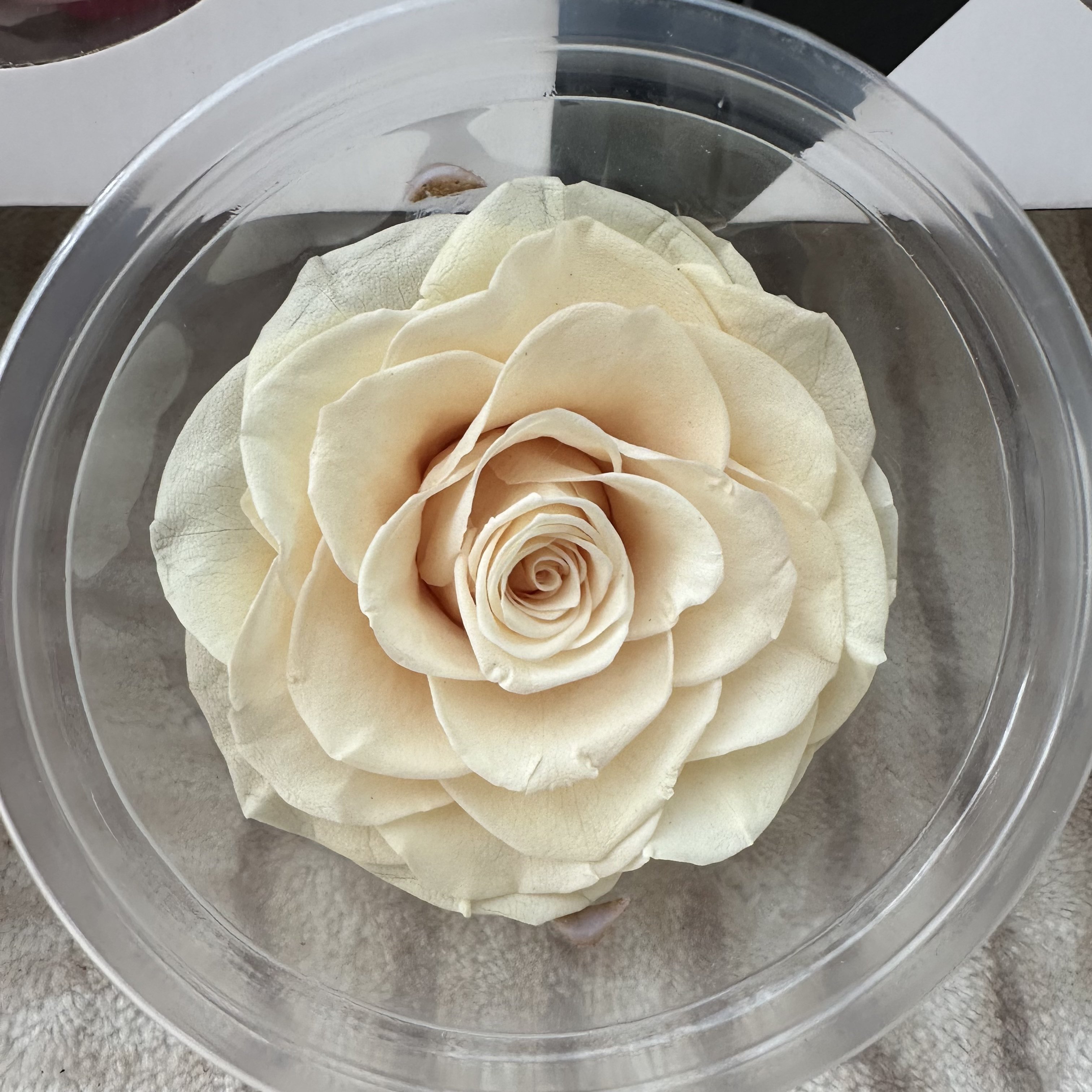 factory supply new 9-10 cm rose head good quality preserved rose head for flower decoration