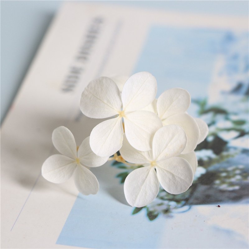 SumFlora Yunnan Supply A Grade Preserved Hydrangea Flowers For Wedding Decoration