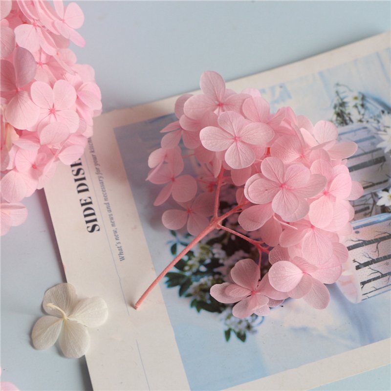 SumFlora Yunnan Supply A Grade Preserved Hydrangea Flowers For Wedding Decoration