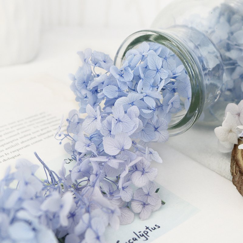 SumFlora Yunnan Supply A Grade Preserved Hydrangea Flowers For Wedding Decoration