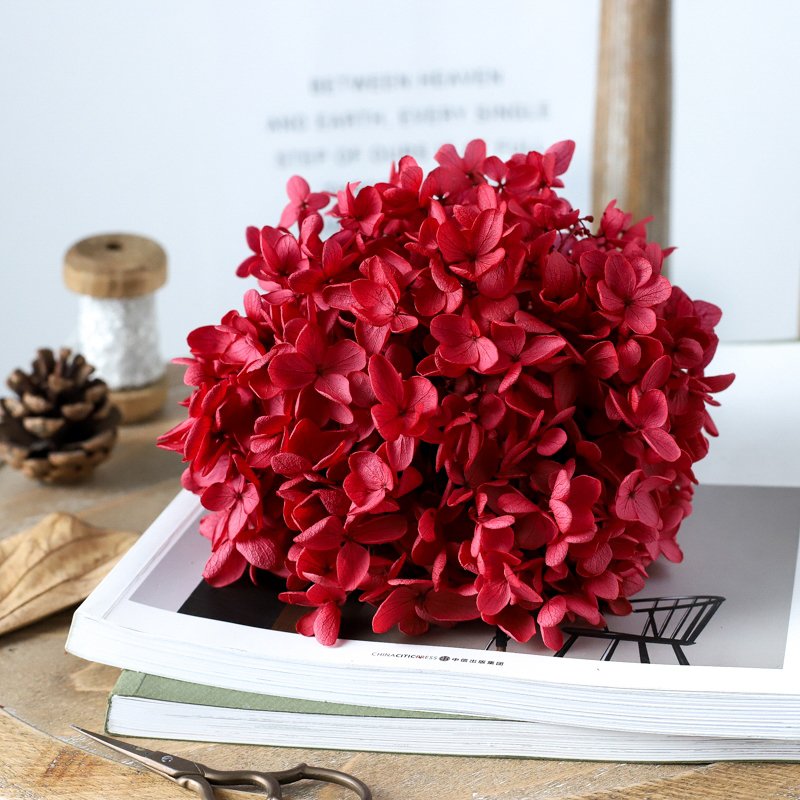 SumFlora Yunnan Supply A Grade Preserved Hydrangea Flowers For Wedding Decoration