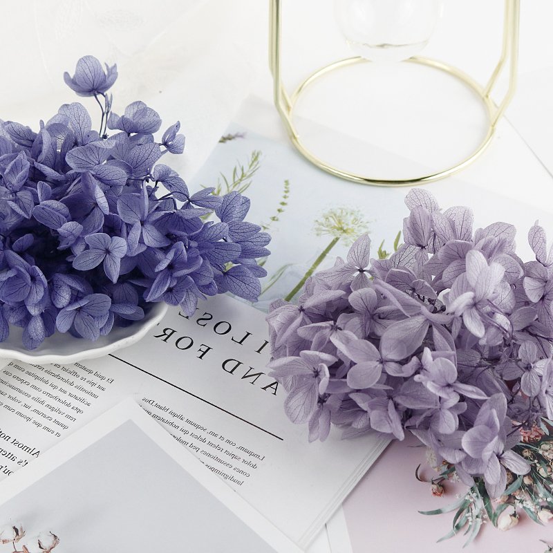 SumFlora Yunnan Supply A Grade Preserved Hydrangea Flowers For Wedding Decoration