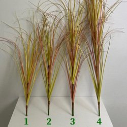 B-70cm