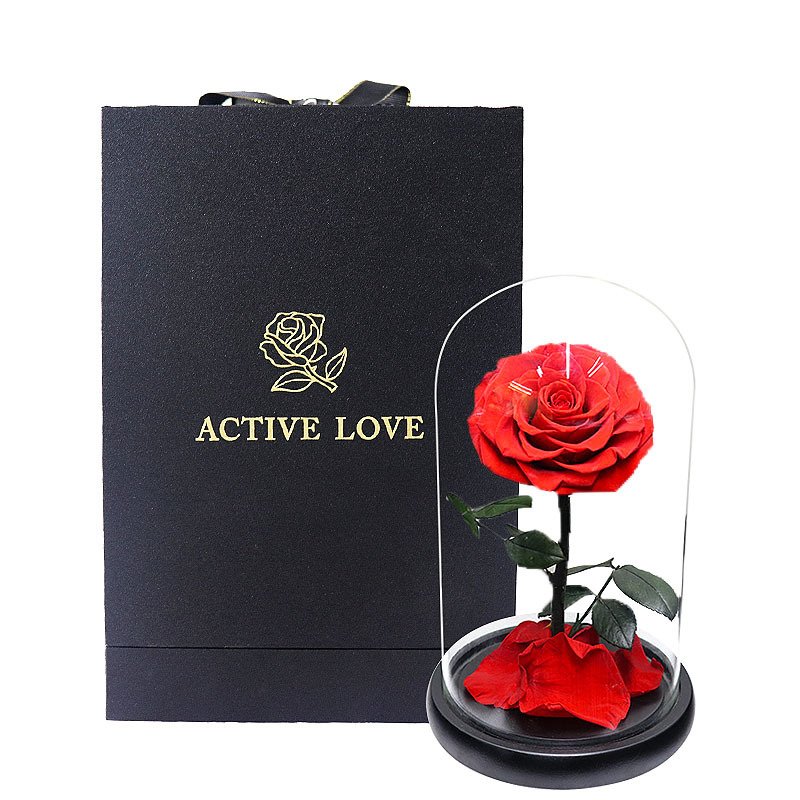 Hot 12*20cm Beauty Beast Belle LED Red Real Everlasting Decorative Flower Gift Box Forever Eternal Preserved Roses in Glass Dome