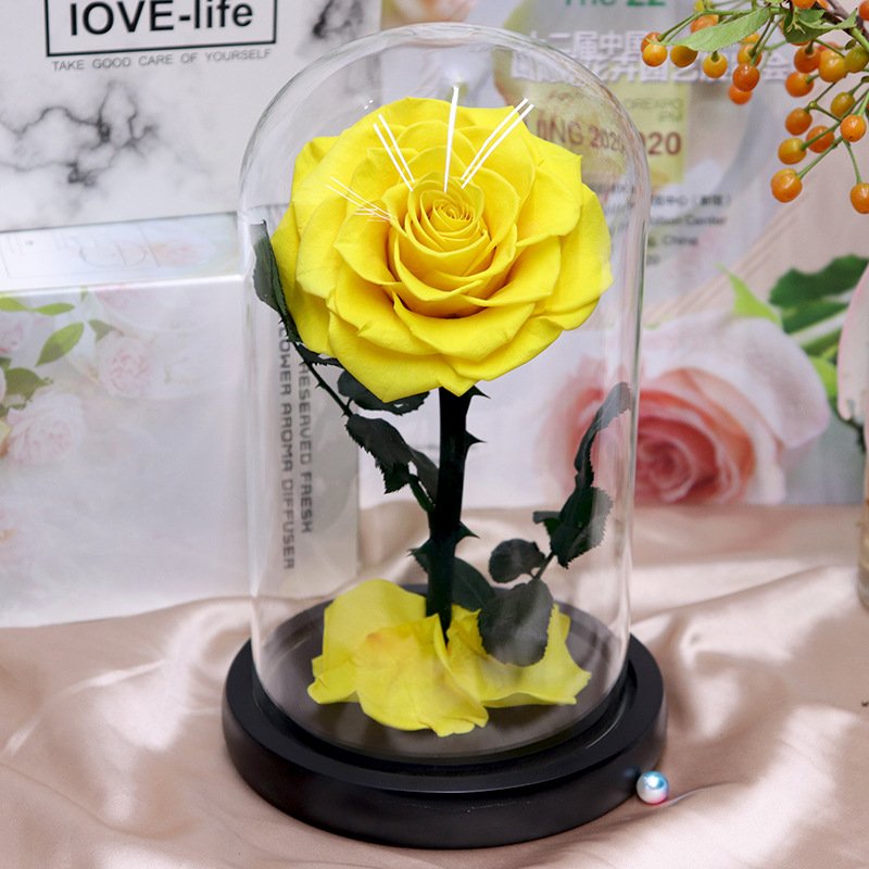 Hot 12*20cm Beauty Beast Belle LED Red Real Everlasting Decorative Flower Gift Box Forever Eternal Preserved Roses in Glass Dome