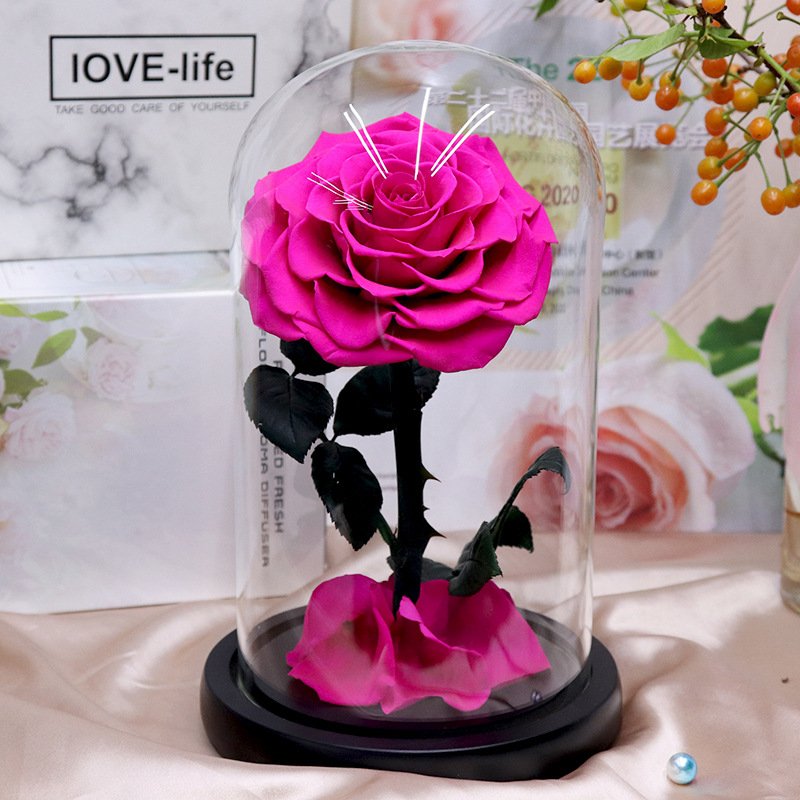 Hot 12*20cm Beauty Beast Belle LED Red Real Everlasting Decorative Flower Gift Box Forever Eternal Preserved Roses in Glass Dome