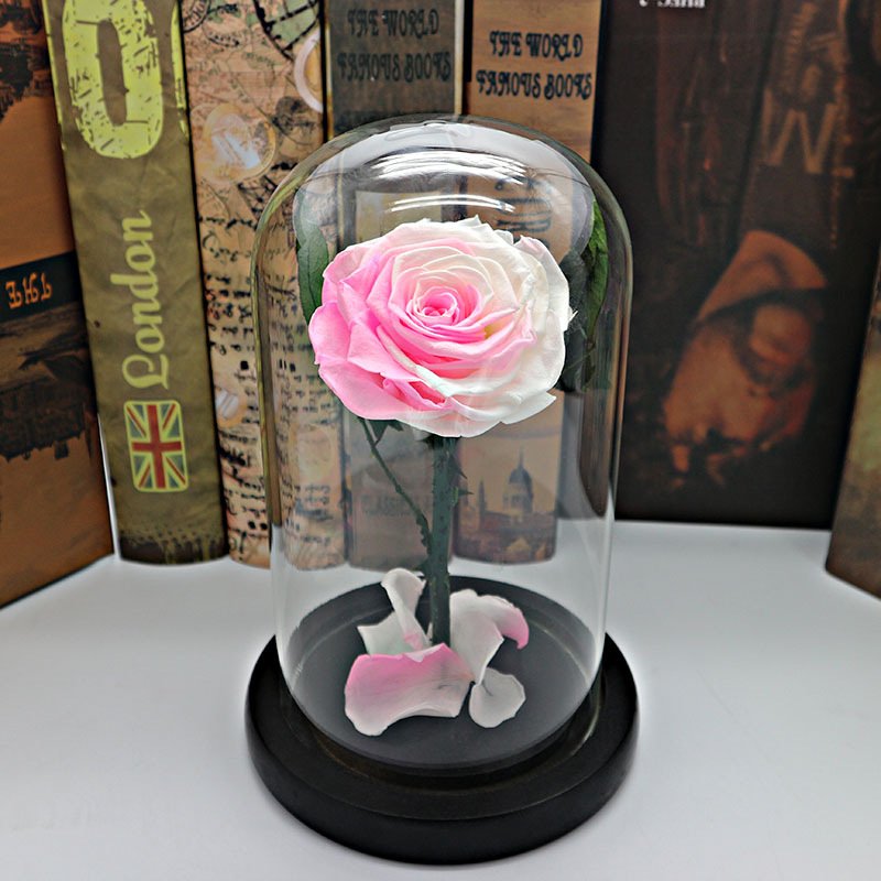 Hot 12*20cm Beauty Beast Belle LED Red Real Everlasting Decorative Flower Gift Box Forever Eternal Preserved Roses in Glass Dome