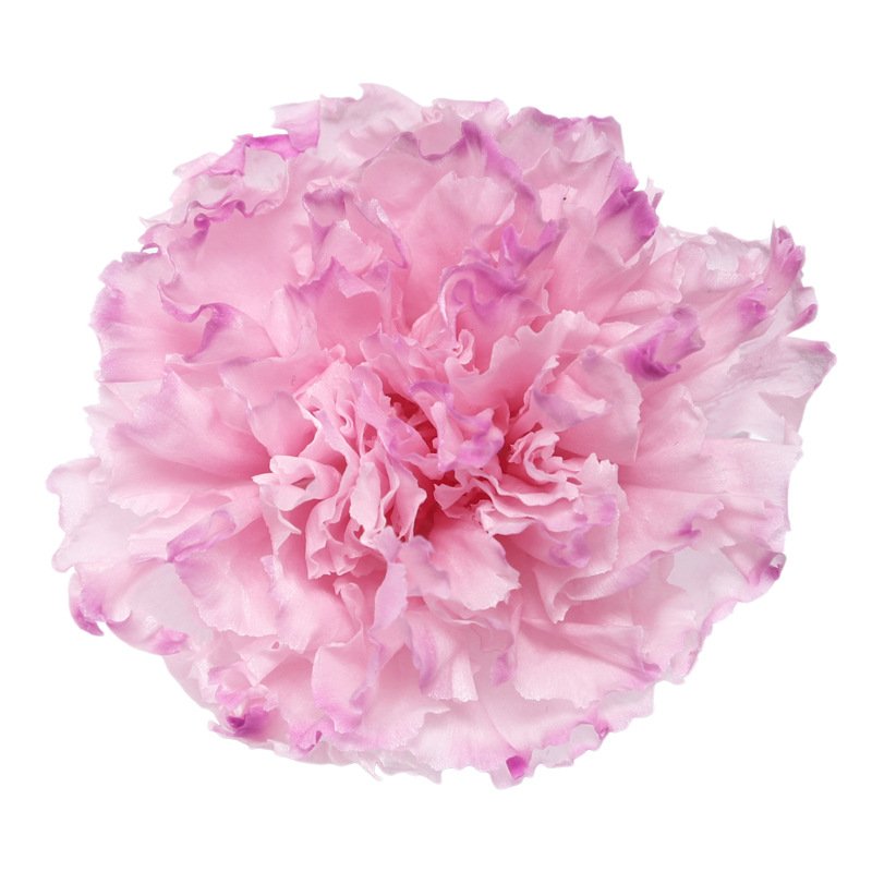 Preserved Eternal Carnations Heads Preserved Flowers Carnations 4~5cm Head The Stabilized Flower