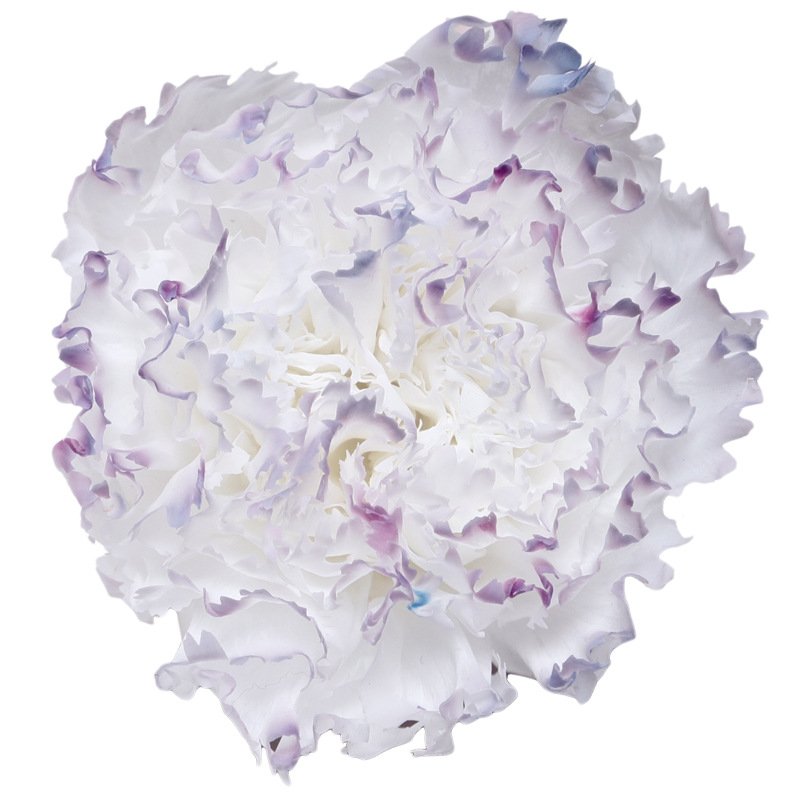 Preserved Eternal Carnations Heads Preserved Flowers Carnations 4~5cm Head The Stabilized Flower