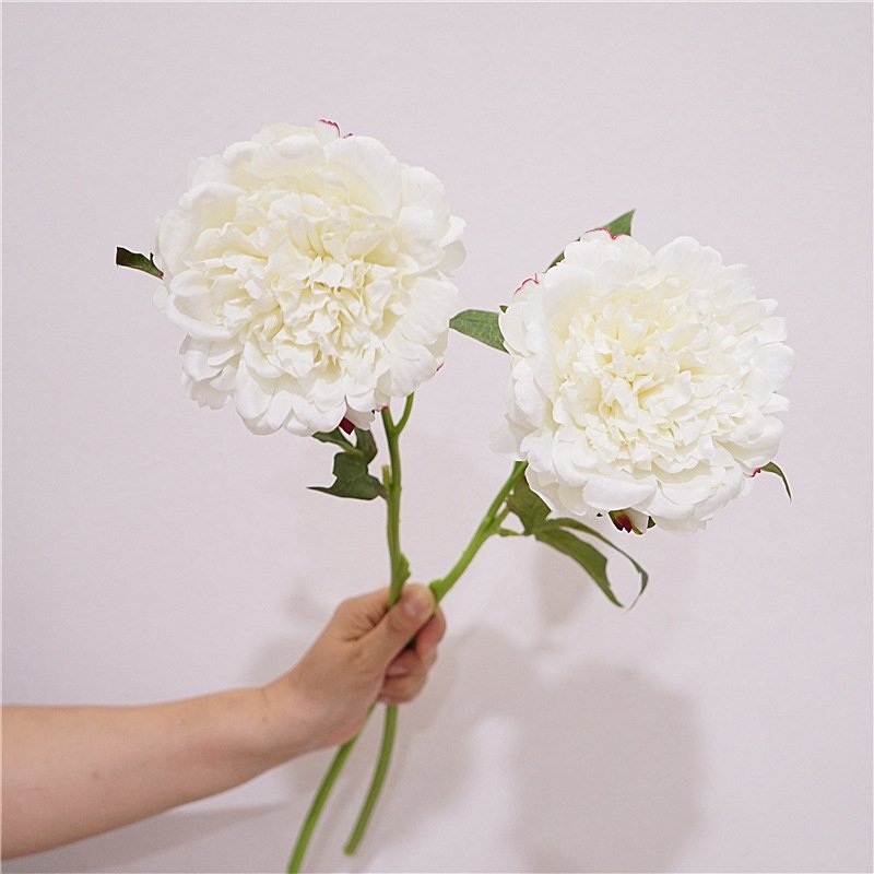 European Style Peony Flower Real Touch Single Stem Preserve Moisture Peony Flower for Home Wedding Arrangements