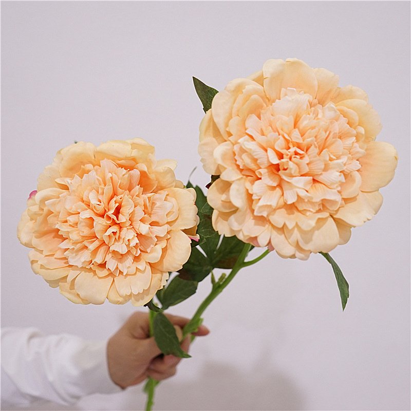 European Style Peony Flower Real Touch Single Stem Preserve Moisture Peony Flower for Home Wedding Arrangements