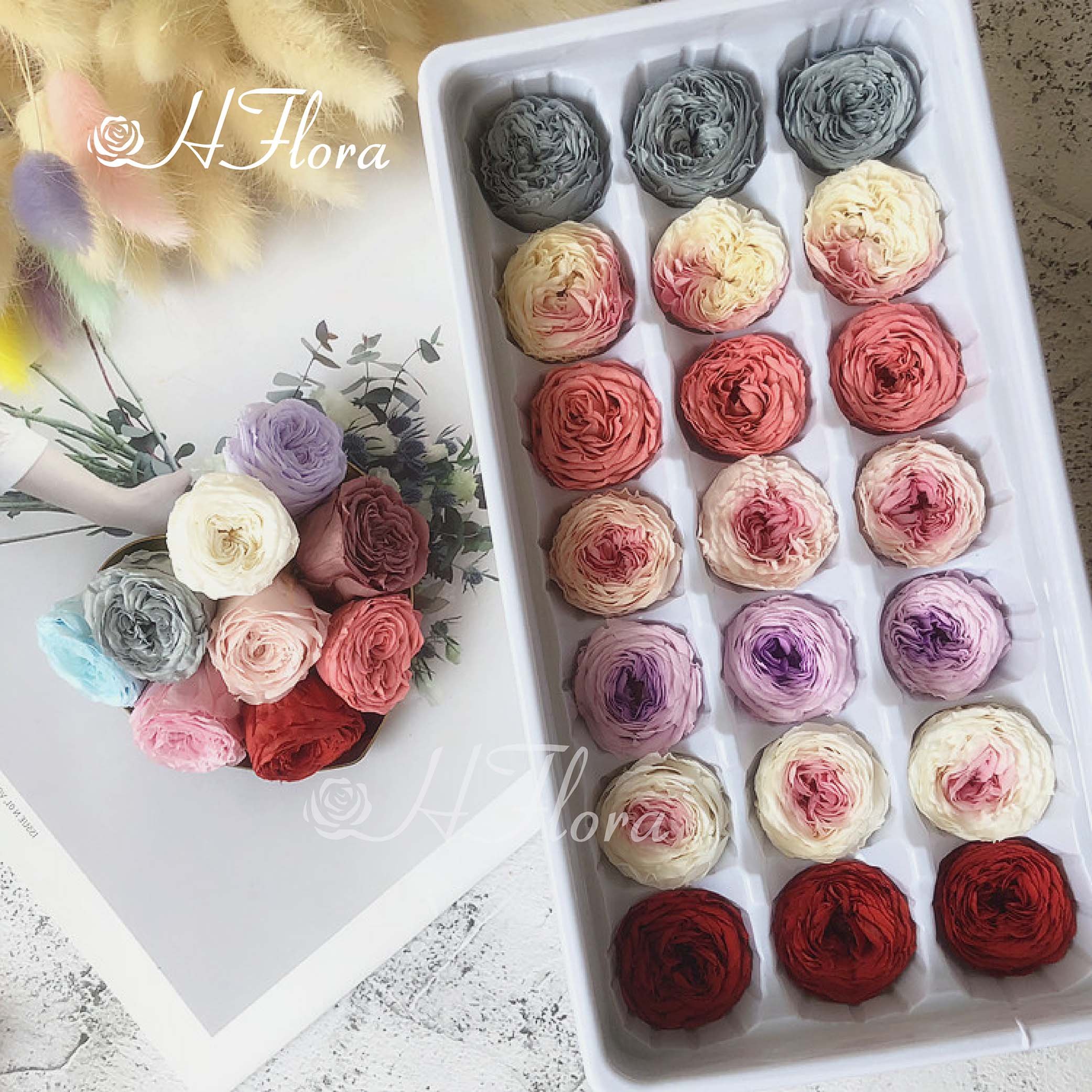 Hfloral Factory Hot Selling Preserved Flower Arrangement 2~3cm Rose Austin Perfect Peony Like Austin Preserved Rose Flower