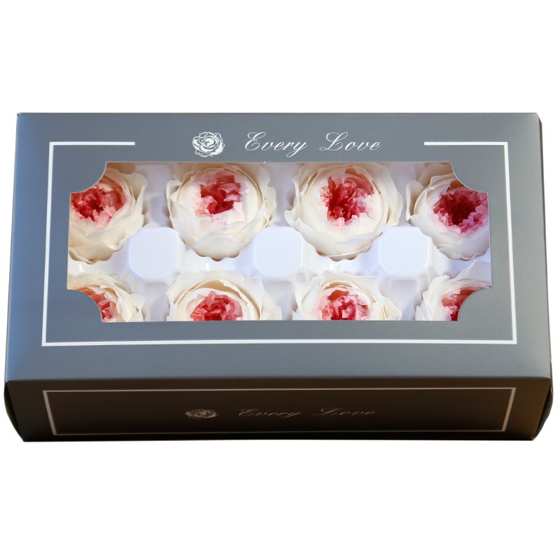 Every Love Size Diameter 4 to 5 cm Natural Wholesale Reasonable Price Two-Tone Preserved David Austin Roses Preserved Flower