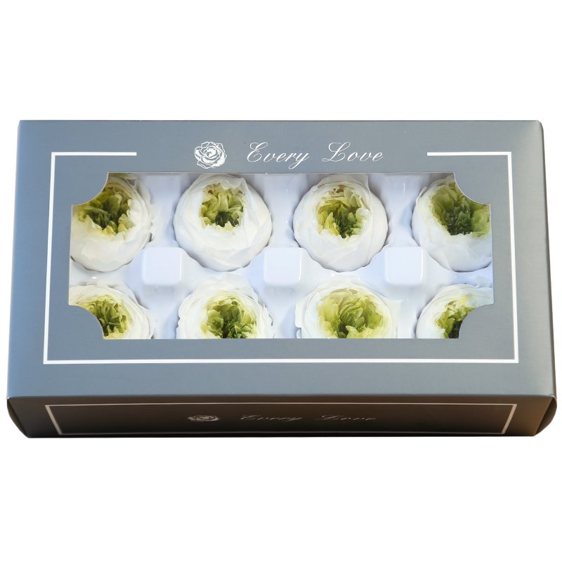 Every Love Size Diameter 4 to 5 cm Natural Wholesale Reasonable Price Two-Tone Preserved David Austin Roses Preserved Flower