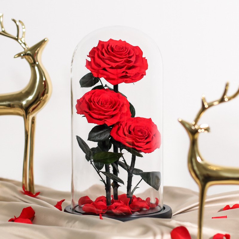 Handmade Preserved Flower Rose Three Preserved Rose With Glass Dome