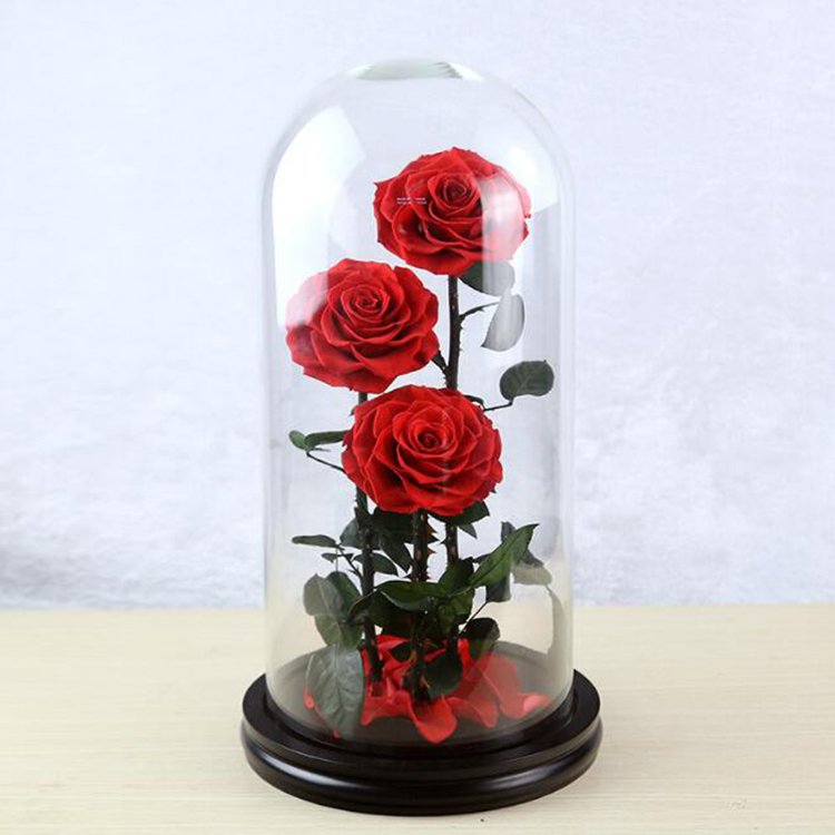 Handmade Preserved Flower Rose Three Preserved Rose With Glass Dome