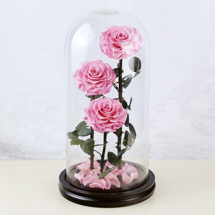 Handmade Preserved Flower Rose Three Preserved Rose With Glass Dome