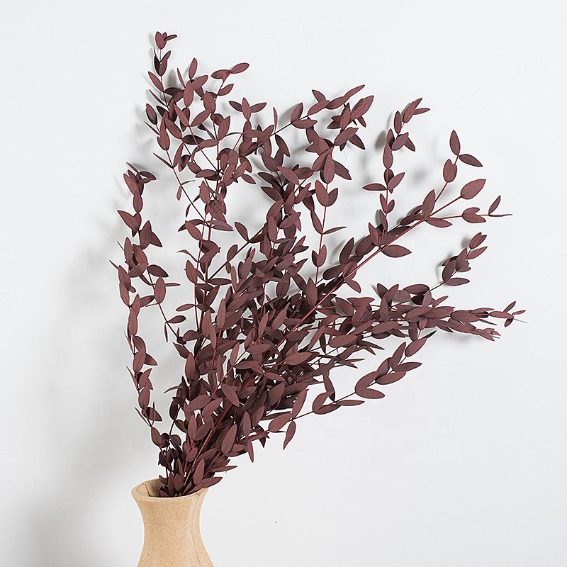 wholesale preserved flower small leave preserved eucalyptus for home decoration